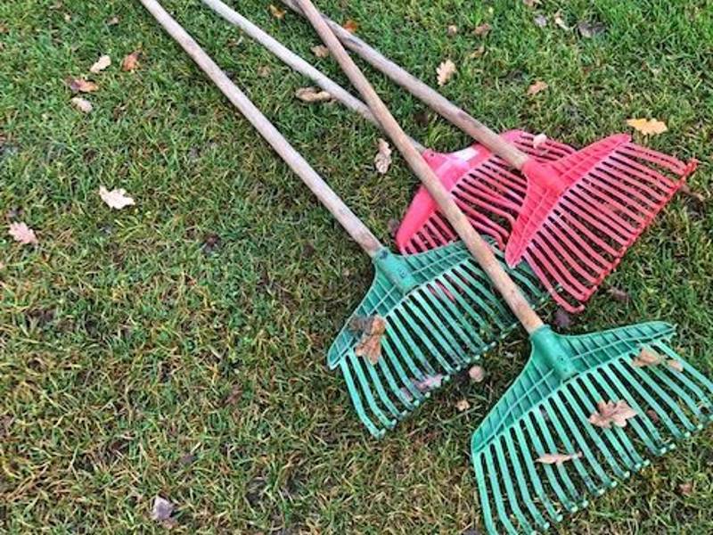 Höstens städdagar 2025